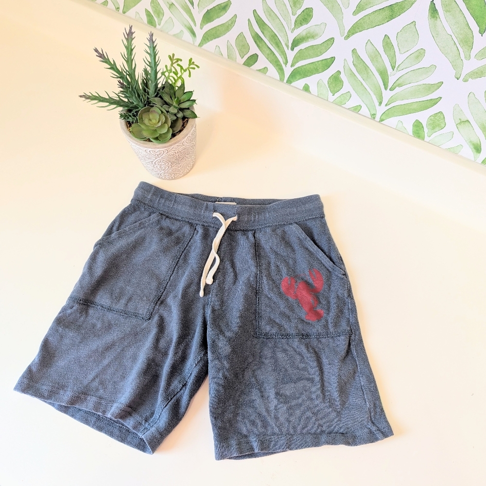 Crewcuts Red Lobster Gray Knit Shorts 8 - Picture 4 of 5